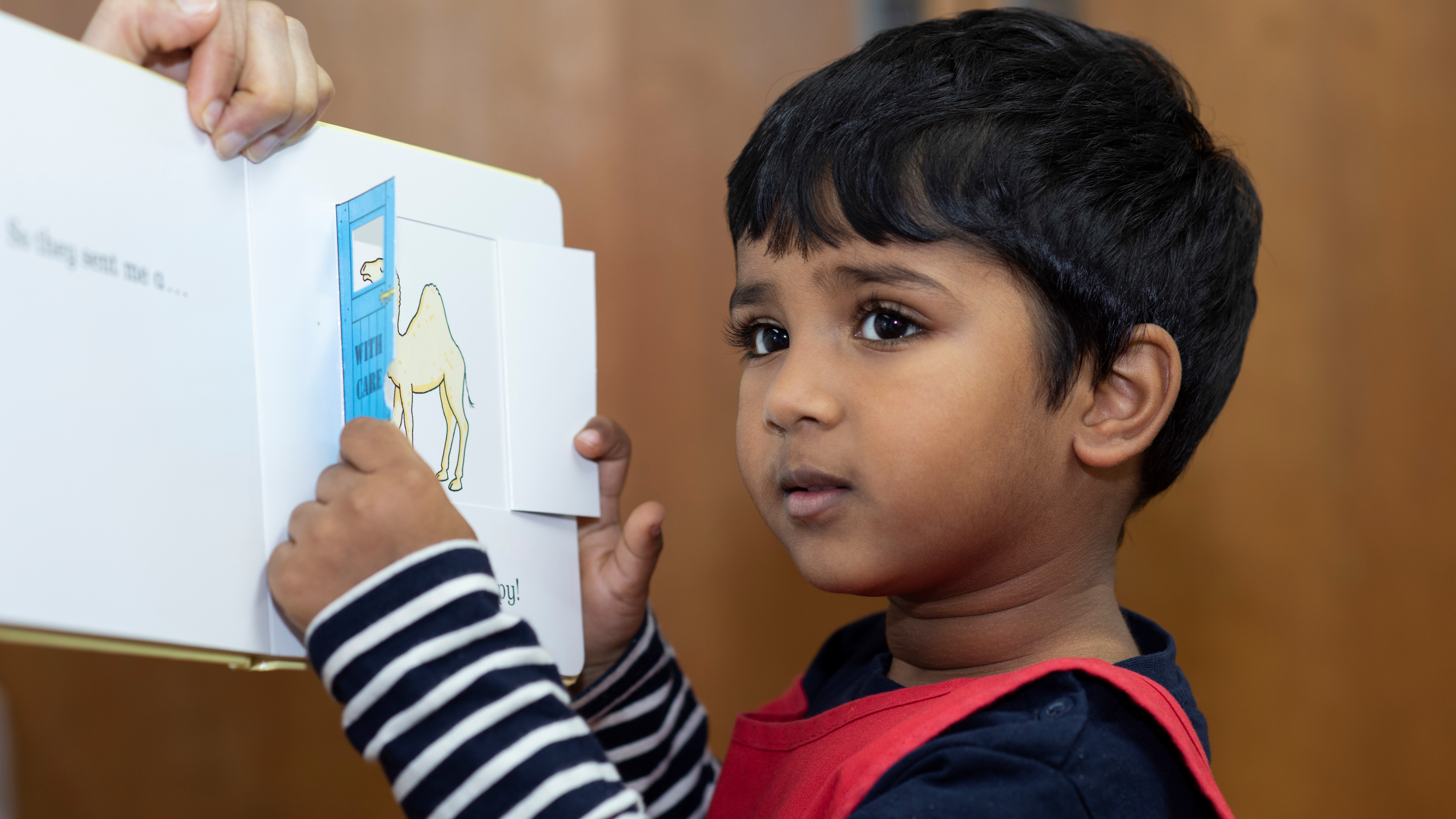 The Butterfly Preschool - Clapham